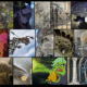 new-details-about-the-architectural-inspirations-for-villains-themed-land-at-magic-kingdom   