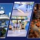 where-to-stay-and-play:-disneyland-resort-hotels-vacation-guide