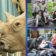 exploring-animal-care-excellence-at-disney’s-animal-kingdom
