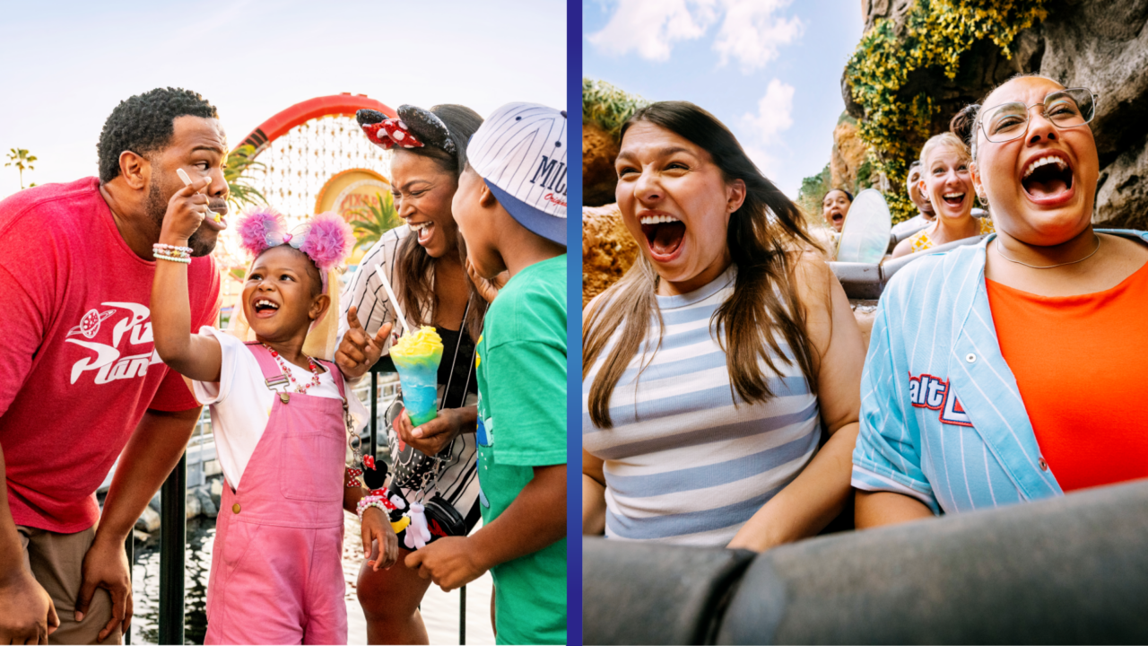 why-plandisney-panelists-love-disney-parks-annual-passes