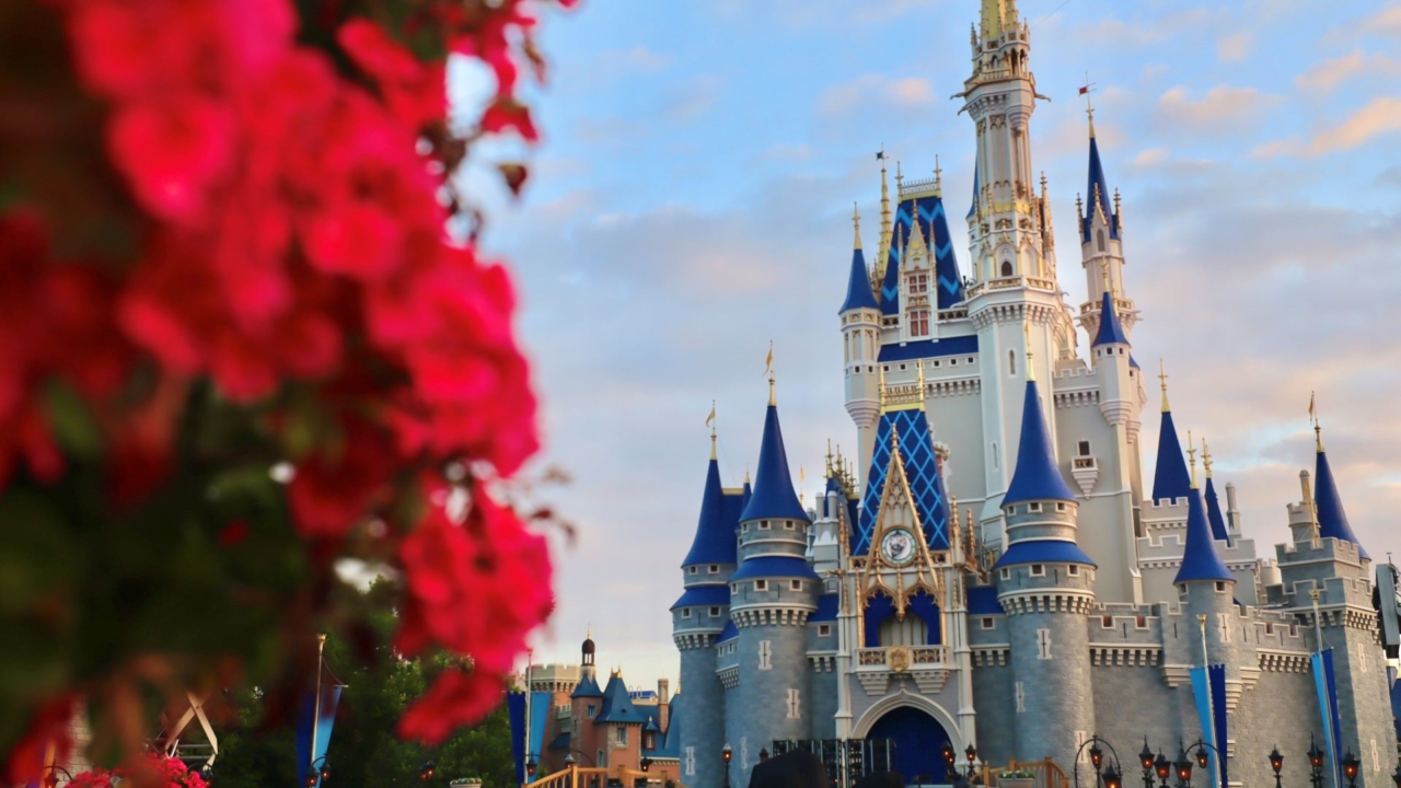 meet-the-team-behind-cinderella-castle’s-sparkling-refresh